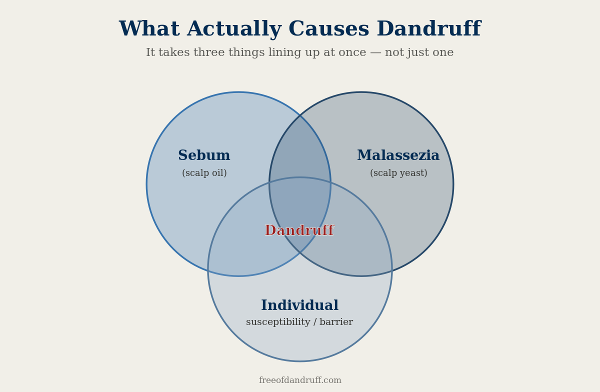 Venn diagram: dandruff results from the overlap of sebum, Malassezia yeast, and individual susceptibility.